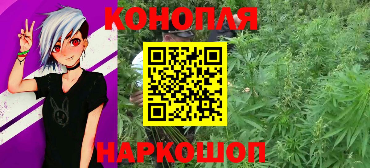 Каннабис семена Избербаш